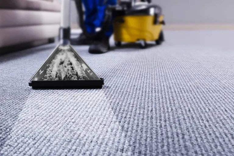 The Science of Clean: Safeguarding Your Melbourne Carpets from Spills to Storms