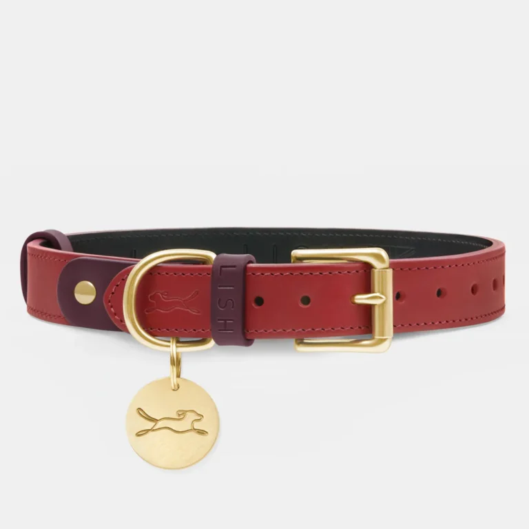 Leading Producers of Customized Leather Dog Collars
